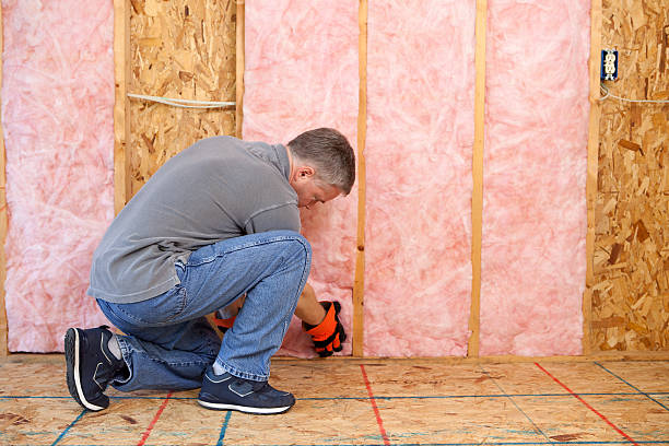 Types of Insulation We Offer in Cortland, IL